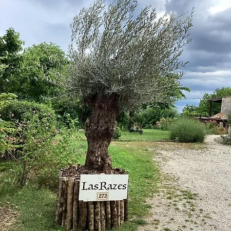 Le De Razes